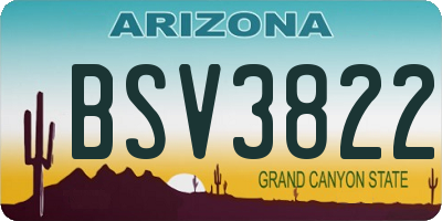 AZ license plate BSV3822