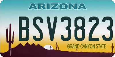 AZ license plate BSV3823
