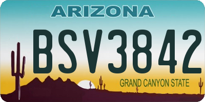 AZ license plate BSV3842