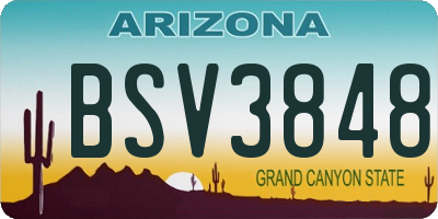 AZ license plate BSV3848