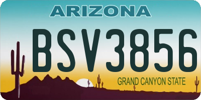 AZ license plate BSV3856
