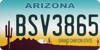 AZ license plate BSV3865