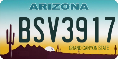 AZ license plate BSV3917