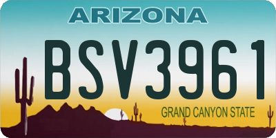 AZ license plate BSV3961