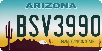 AZ license plate BSV3990