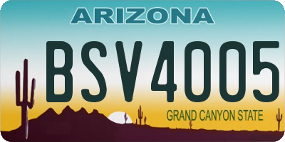 AZ license plate BSV4005
