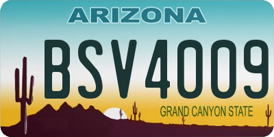 AZ license plate BSV4009