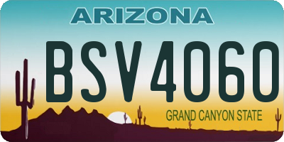 AZ license plate BSV4060