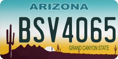 AZ license plate BSV4065