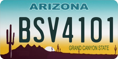 AZ license plate BSV4101