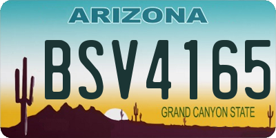 AZ license plate BSV4165