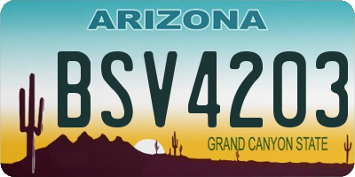 AZ license plate BSV4203