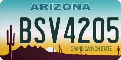 AZ license plate BSV4205
