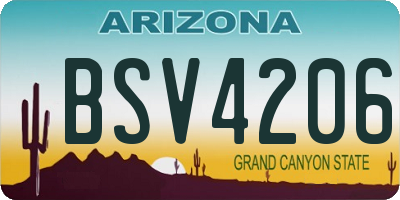 AZ license plate BSV4206