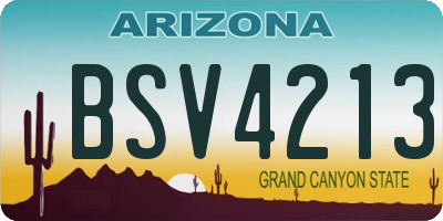AZ license plate BSV4213