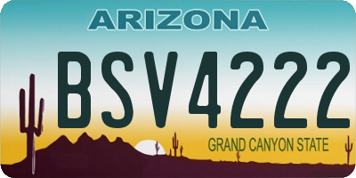 AZ license plate BSV4222