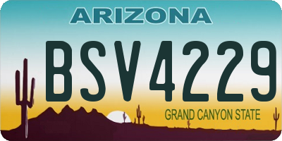AZ license plate BSV4229