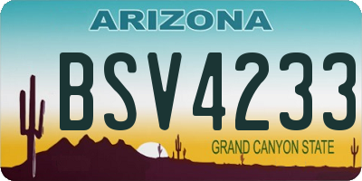 AZ license plate BSV4233