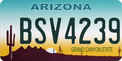 AZ license plate BSV4239