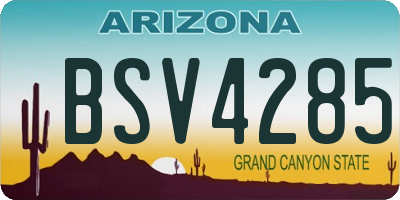 AZ license plate BSV4285