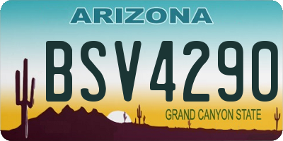 AZ license plate BSV4290