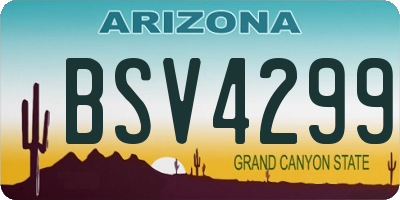 AZ license plate BSV4299