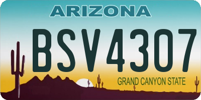 AZ license plate BSV4307
