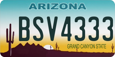 AZ license plate BSV4333