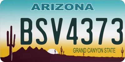 AZ license plate BSV4373