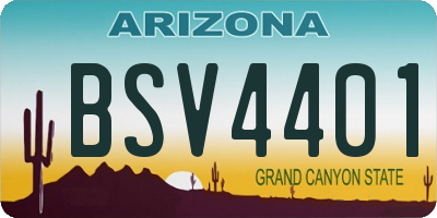 AZ license plate BSV4401