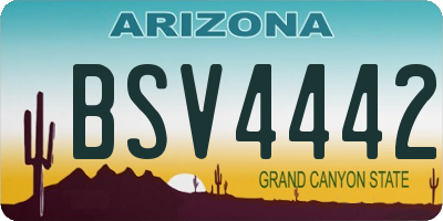 AZ license plate BSV4442