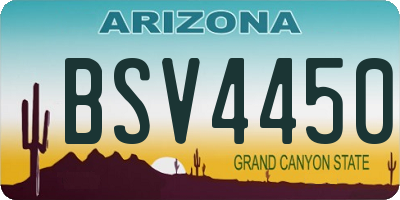 AZ license plate BSV4450