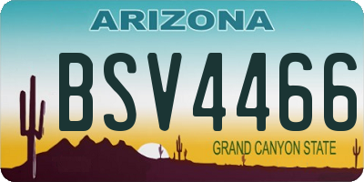 AZ license plate BSV4466