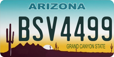AZ license plate BSV4499