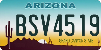 AZ license plate BSV4519