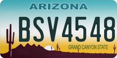 AZ license plate BSV4548