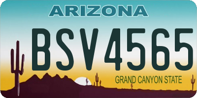 AZ license plate BSV4565