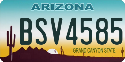 AZ license plate BSV4585