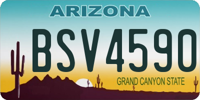 AZ license plate BSV4590
