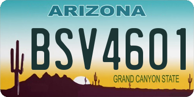 AZ license plate BSV4601