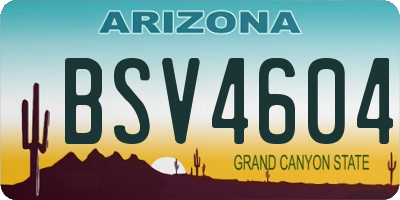 AZ license plate BSV4604