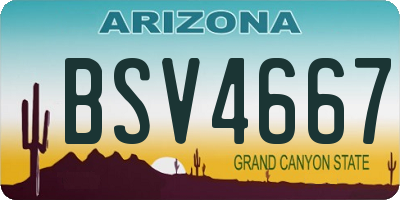 AZ license plate BSV4667
