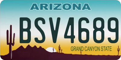 AZ license plate BSV4689