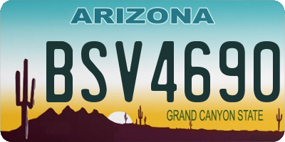 AZ license plate BSV4690