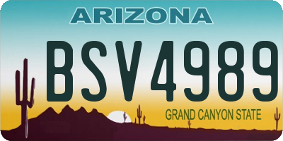 AZ license plate BSV4989