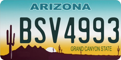 AZ license plate BSV4993