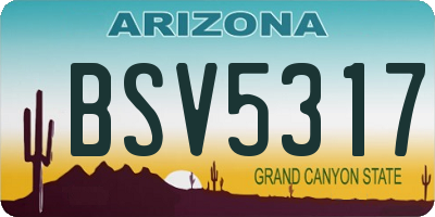 AZ license plate BSV5317