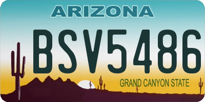 AZ license plate BSV5486