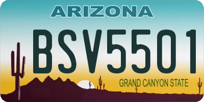 AZ license plate BSV5501