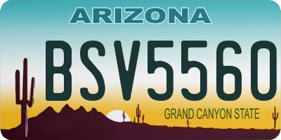 AZ license plate BSV5560